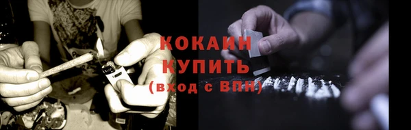 трава Богородицк