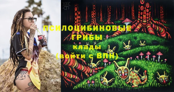 трава Богородицк