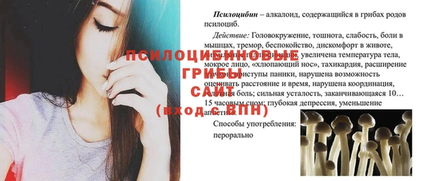 трава Богородицк