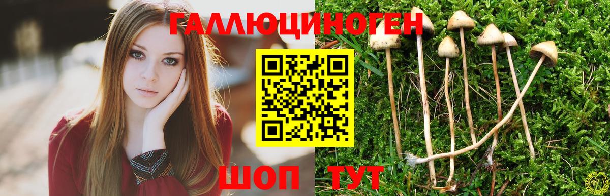 Галлюциногенные грибы Psilocybe Воскресенск